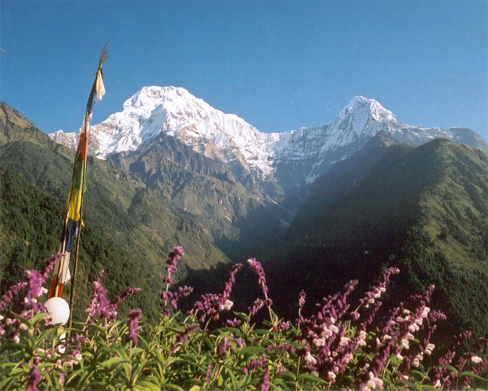 Discover Annapurna Terai